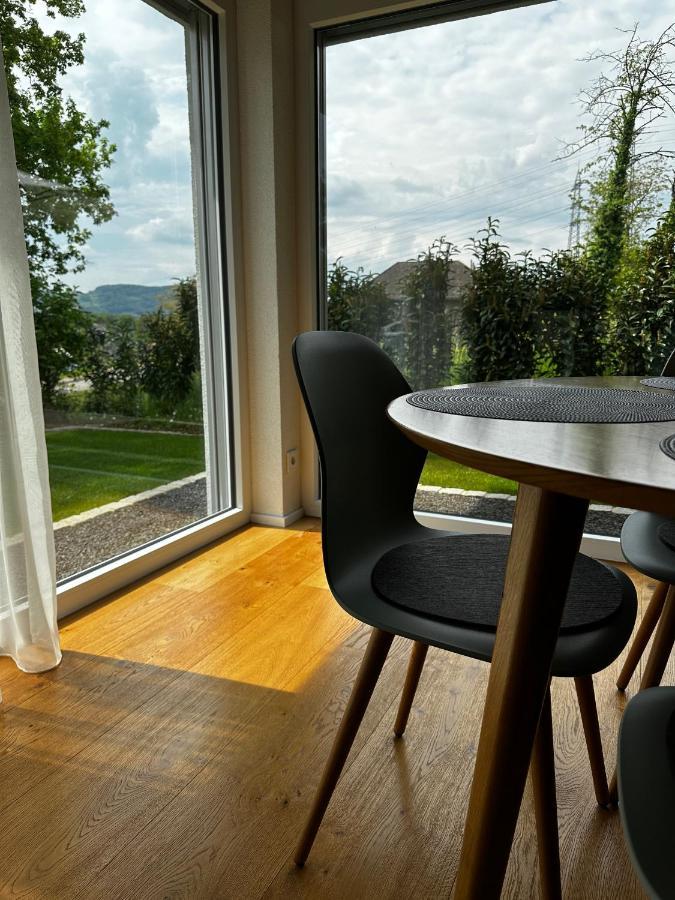 Moderne Ferienwohnung Rhenum Mit Wallbox Waldshut-Tiengen Exterior photo